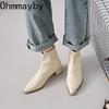 Thick Heel Metal Pointed Toe Women Ankle Street Banquet Party Dress Short Botas Autumn Winter for Adult Women