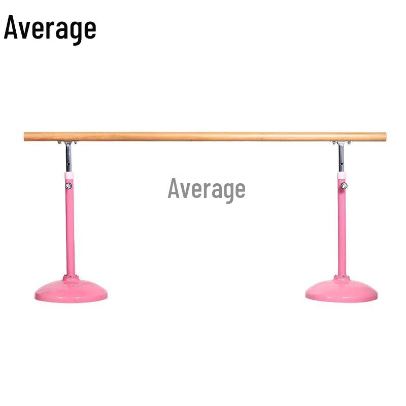 Zhongjun Professional Portable Dance Barre