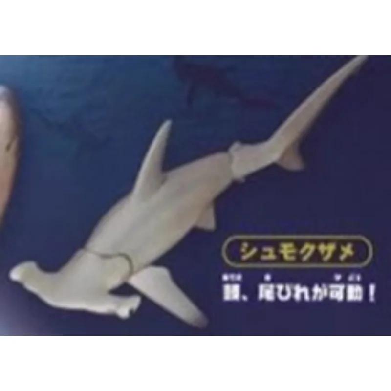 Original Sea Life THE SHARK Gashapon Toys Simulation Figure Model Ornaments Toys