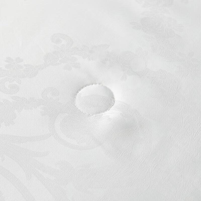 Yilian Ganzjahres-Tussahseidenmischdecke