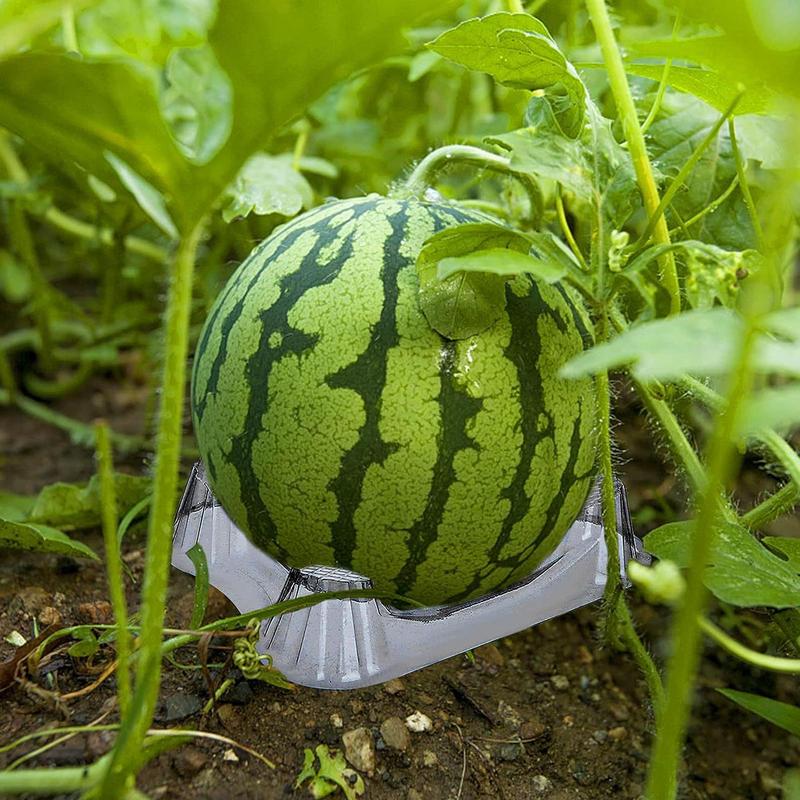 50pcs Garden Plant Support Cradle Plastic Melon Watermelon Pumpkin Prevents Rotting Transparent Protector Gardening Supplies