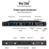 Wieshu DC-10SH Pro True Diversity Dual Wireless Handheld Microphone System (CN version)