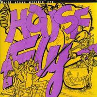 

12inch Record WORLD CLASS WRECKIN CRU - House Fly KC1016 Kru-Cut Records 1990 US Rap & Hip-Hop/R&B Used