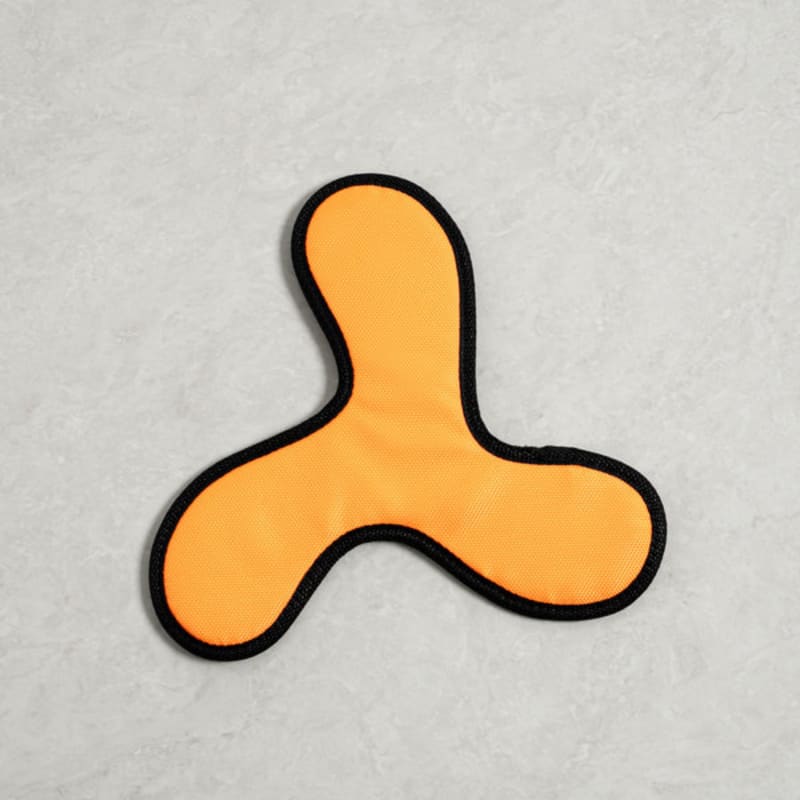 [Pet] Boomerang Toy
