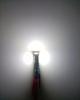 Kazuki 9V-30V Car T16 LED Back Lamp Reverse Light White W16W 921 912 Backlight 21 Rows 3030SMD Pack of 2