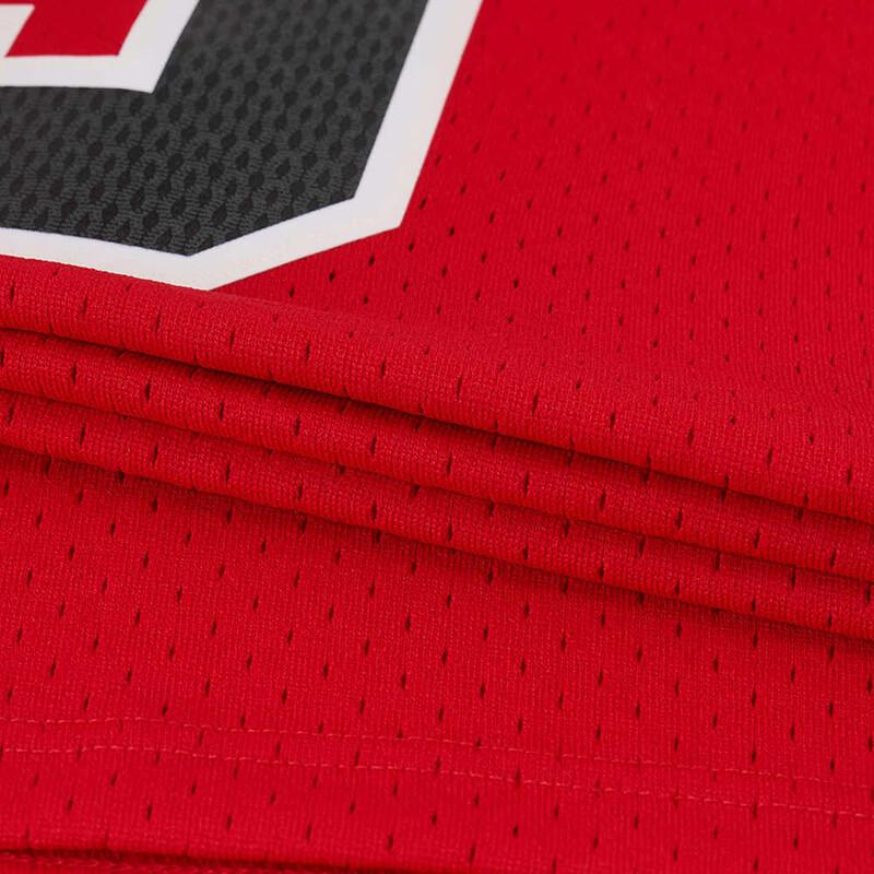 NBA Mitchell & Ness Bulls Dwyane Wade Jersey