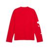 Puma Graphic Comfortable Long Sleeve Drop Shoulder T-Shirt Men Tops 637884-11
