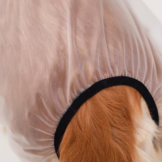 Pláštěnka pro mazlíčky Čtyřnohá Vodotěsná Průhledná Pláštěnka pro mazlíčky pro deštivý den