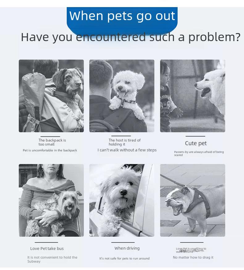 Breathable Foldable Pet Handbag for Cats and Dogs