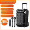 SANSUI D12 12-inch Portable Karaoke Speaker with Dual Microphones CN Plug (adapter Included)