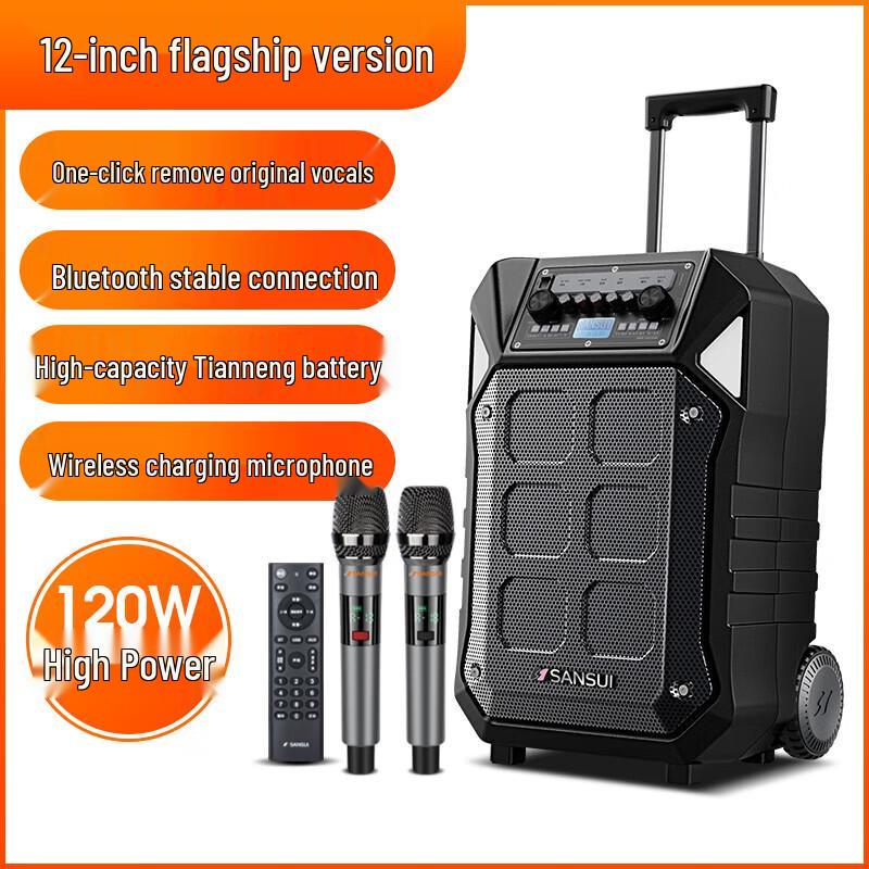 SANSUI D12 12-inch Portable Karaoke Speaker with Dual Microphones CN Plug (adapter Included)