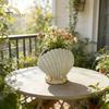 Boho Plank Decor Schelp Schelp Schelp Succulenten Plantenbak, Hars Oceaan-Thema Bloempot met Afvoergaatje, Gat Strandschelp Plantenbak voor Huis Tuin