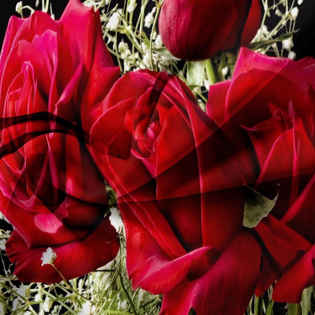 3Pcs Black Red Rose Hd Print Duvet Cover Set, Flower Art Printed Bedding, For Family Bedrooms Dormitories Hotels
