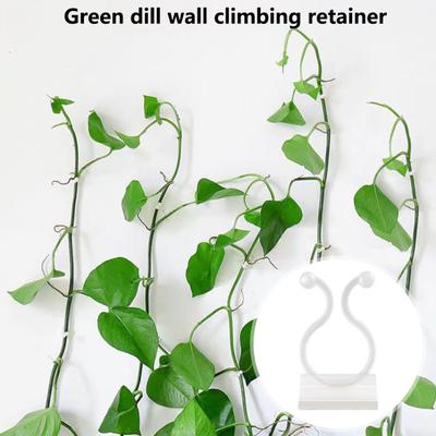 Plant Branch Fixer Sturdy Fixation Reusable Rattan Vine Green Plant Indoor Wall Sticky Fixing Clamp Planting Accessories
