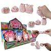 24 X Squishy Piggy All Original Premium DISPLAY 3 X Shape