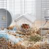 Anti-Spill Hamster Sand Bath Transparent Golden Bear Bathroom Hamster Toilet  Pet Habitat