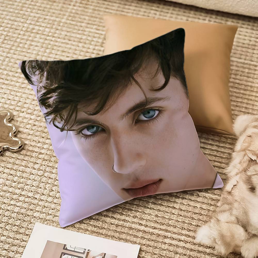 Певец T-Troye Sivan Наволочка Клещ Невидимая молния Диван-кровать 12x12Inch