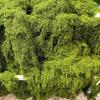 Decorazioni per la casa – Ghirlande e fiori artificiali