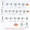 2026+ TDS / PH / TEMP Three in One Test Pen Ph Pen Ph Water Quality Test Pen