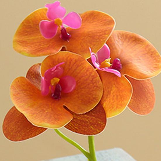 Useful Simulation Phalaenopsis Not Withered Luxury Decorate