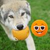 Dog Squeaky Toy Built-in Sound Device Soft Bite Resistant Funny Face Dog Chewing Toy Relieve Boredom Latex Interactive Fetch Play Dog Ball Outdoor
