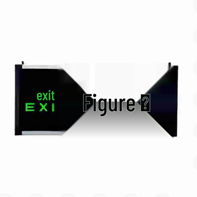 Mingsong LED Emergency Exit Sign Light
