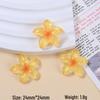Handmade Resin Flower Clips & Jewelry Charms
