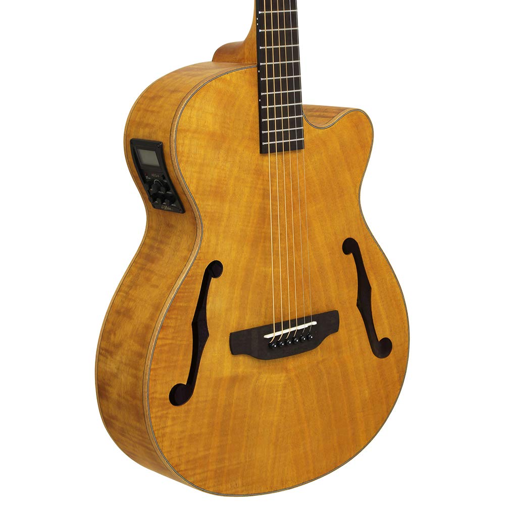 ARIA Stained Brown Electric Acoustic Guitar Aria FET-F2
