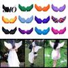 Costume și Accesorii – Accesorii