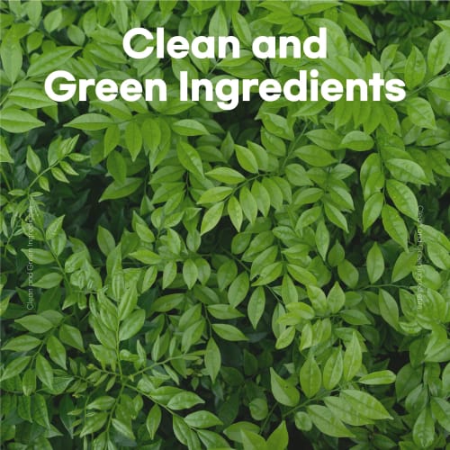 Skybottle Perfumed Hand Cream, Lasting Fragrance, Moisturizing, 1.7 Fl. Oz (Muhwagua(Fig))