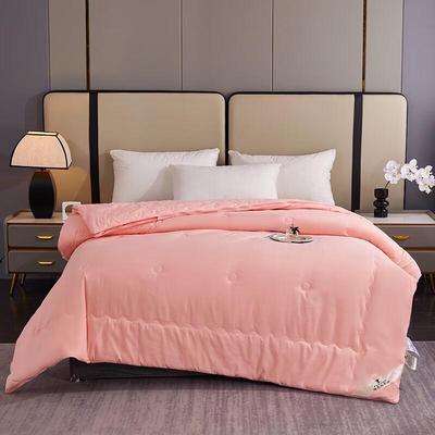 PLOVER All-Season Duo Comforter ZMN-DB009