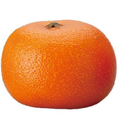 New Hong Kong Artificial Flowers Hong Kong Fake Fruit for Perishable Mandarin Food Artificial Memorial Memorial Buddhist Buddhist Buddhist Buddhist
