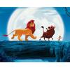 Pittura Per Numeri Quadri Da Pitturare Il Re Leone Hakuna Matata 50X40 Cm