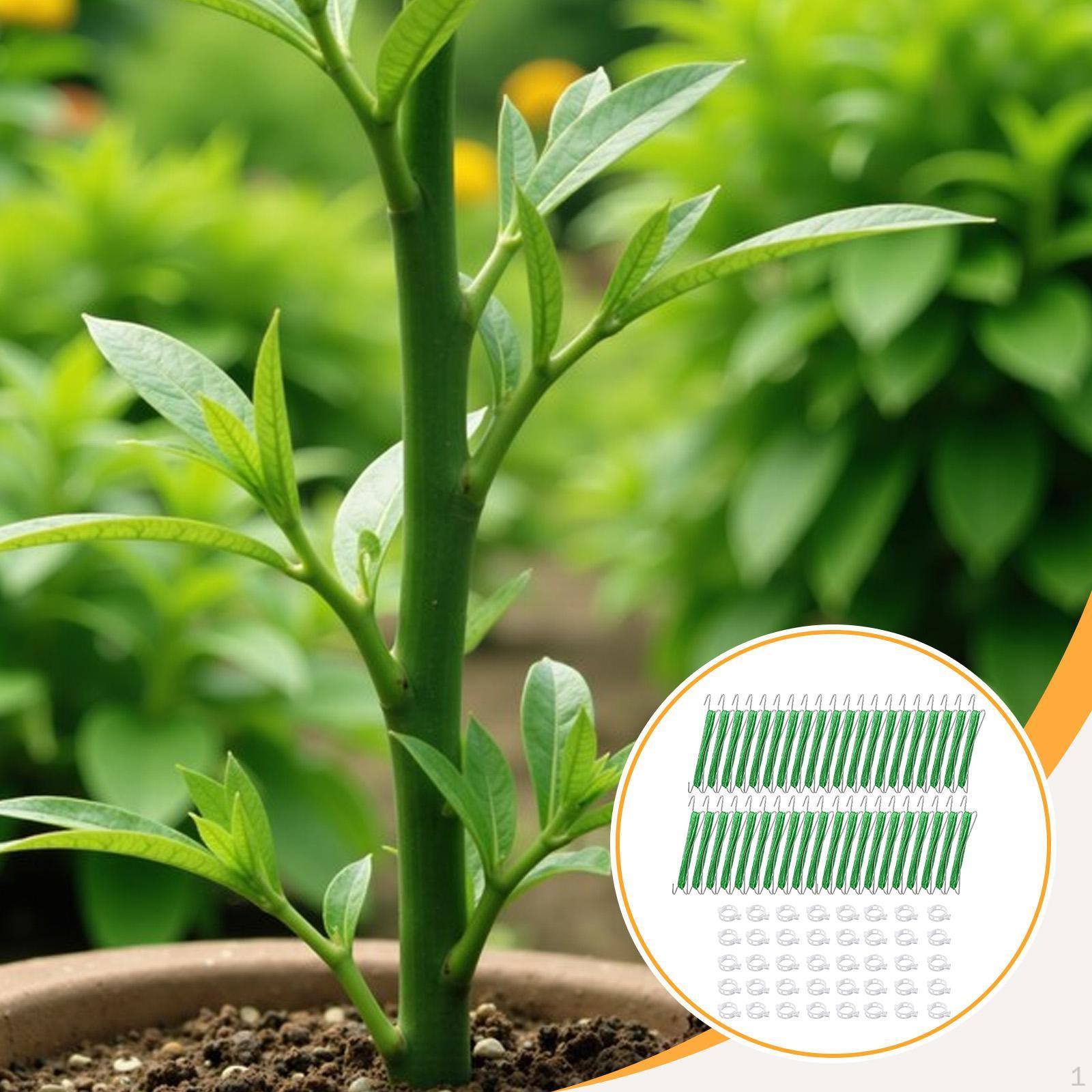 

40 штук Зажимы для помидоров Крючки со шпагатом, Многоразовые, Садовые инструменты для прививки для сладких