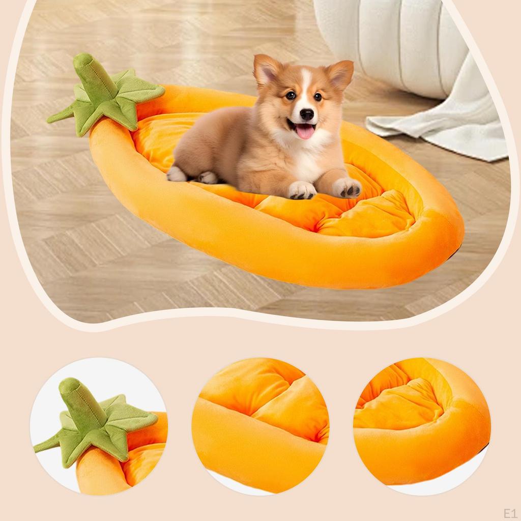 Cat Bed Dog Sofa Washable Puppy Nest Comfortable Supplies Kennel Pet Sleeping for Indoor Cats
