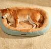 Höst och vinter varmt husdjursbo oval kattbur kattbädd plyschbo bitbeständigt icke-klibbigt husdjursmaterial hundkudde