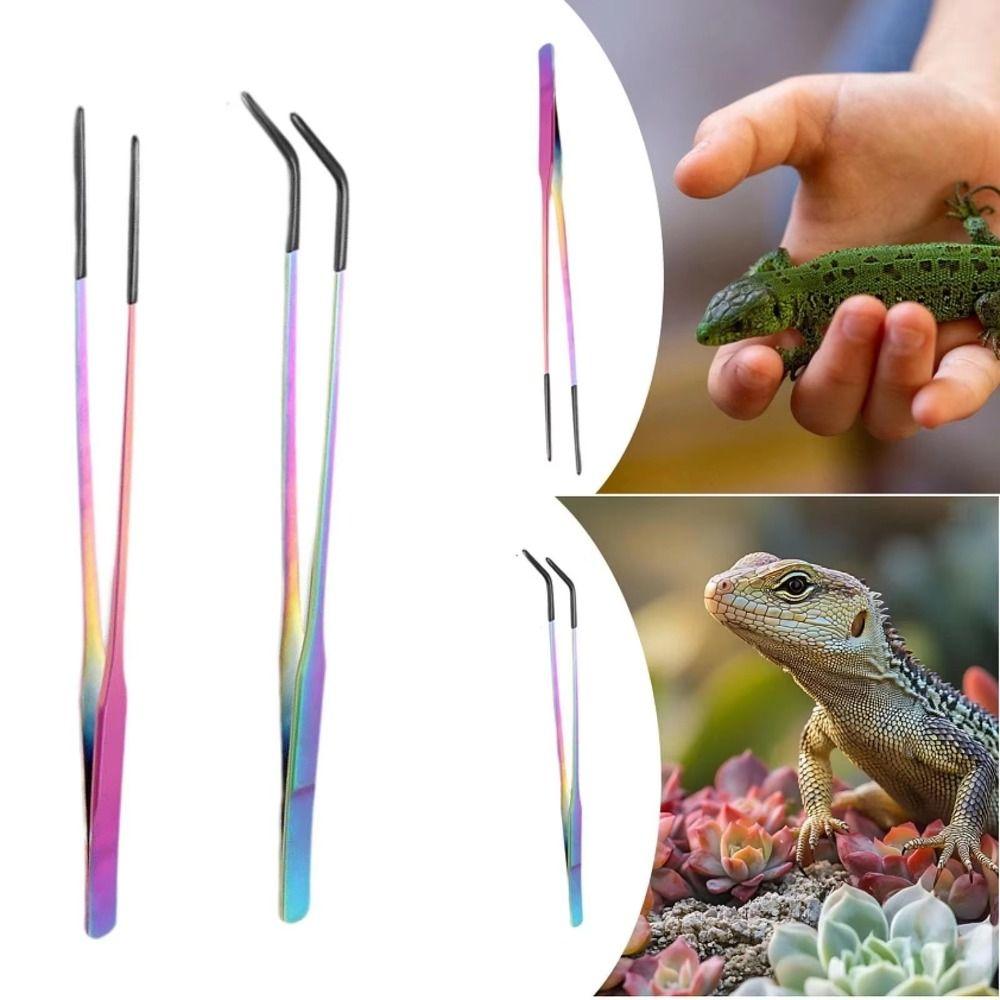 2Pcs Stainless Steel Aquarium Feeding Tweezers 27CM Non-slip Reptile Feeding Tongs with Rubber Head Corrosion-resistant
