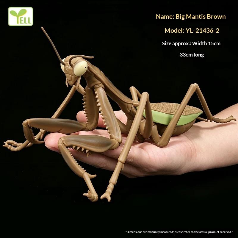 Realistic Insect Figure Collection Set Wasp Mantis Cicada Pupa Rhinoceros Beetle Nature Model Toy Gift For Fans Collectors