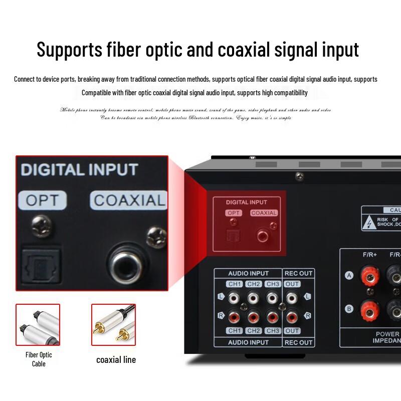 SHILE Professional 10-inch Conference & KTV Audio System with Wireless Microphones