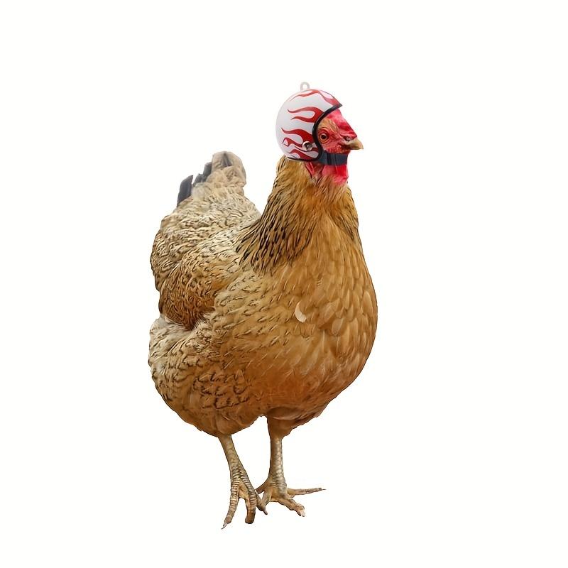 1 st Kip Helm Kip Vogel Speelgoed Hoofdbescherming Helm Vogel Hoed Hoofddeksels
