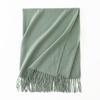 Cashmere Feel Solid Color Women's Imitation Cashmere Scarf Spring Atmosphere Korean Style Versatile Mid Length Shawl Scarf