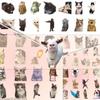 101Pcs Cat Meme Pet Stickers Waterproof Translucent Funny For Stationery Cute Stickers Scrapbooking Material Craft Supplies