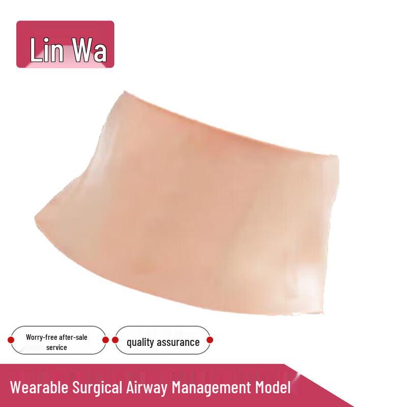 Medical Clinical Skills Training Manikins