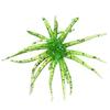 4pcs/Set Water Sea Urchin Softworm Lure Anti Bite Simulated Sea Urchin Lures for Bass Fishing Drop Shot Saltwater Fishing Gear