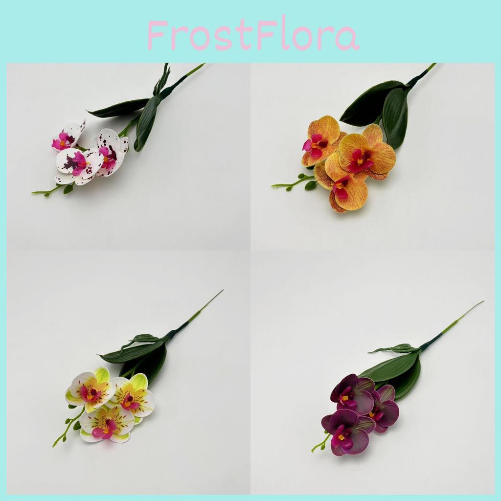 Artificial Phalaenopsis Realistic Flower Plant For Photography And Decor Home