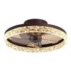 Dream Bubble Ceiling Fan Light with Remote