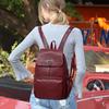 Ny skulderveske for kvinner Fritid Dameveske Mote Håndholdt reisestudentryggsekk for kvinner