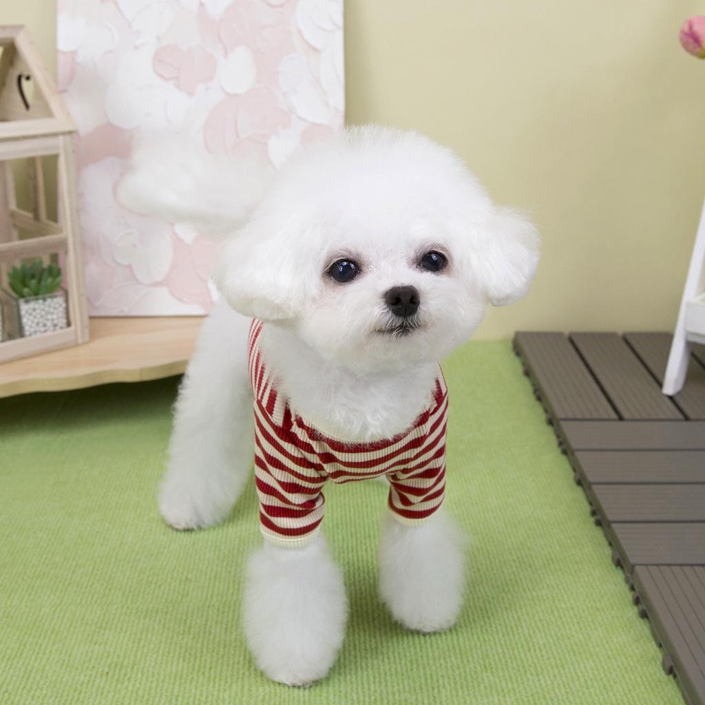 Winter Warm Black Striped Dog Bottoming Shirt Soft Adorable Pet Vest for Maltese Small Breed Dogs Puppy Clothes Pet Clothe Stuff