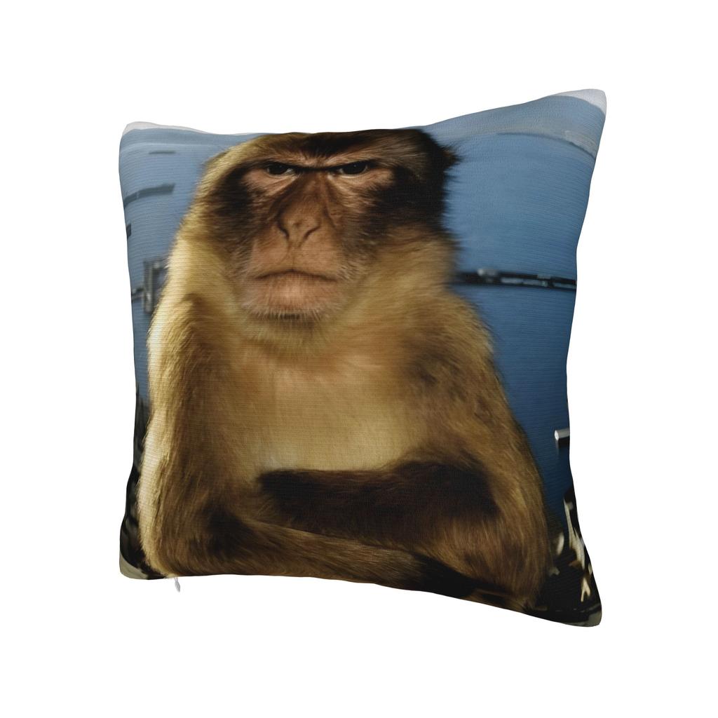 Thinking Monkey Meme Pillow Covers Merch Soft Cushion Cover Decoration Pillow Case Cover Home Multiple Sizes