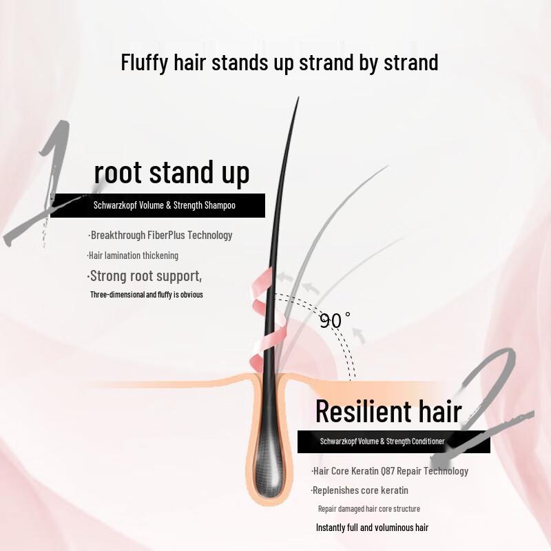 Schwarzkopf Volumizing & Oil Control Shampoo